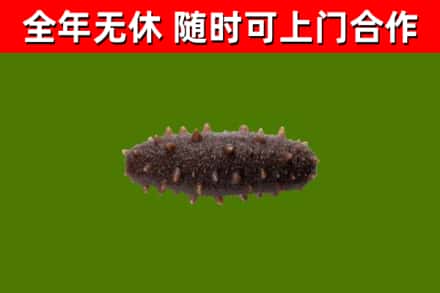 黄冈烟酒回收干海参.jpg
